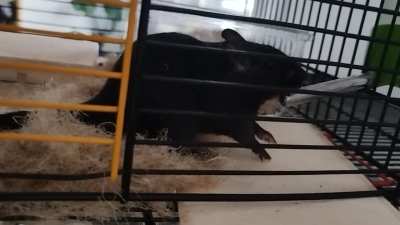 He never knows what to do with his hands when drinking