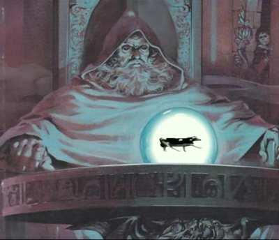 Pondering my koks feat. Cypis