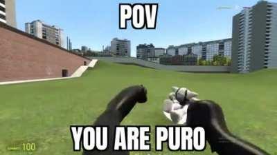 Puros Dream be like: