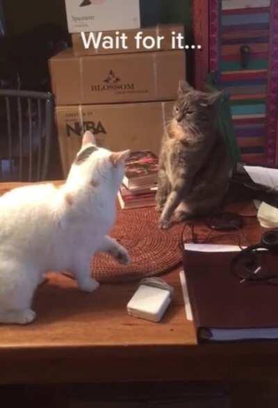 Player 3 has entered the game