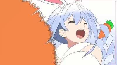 Carrot Flavored Donuts