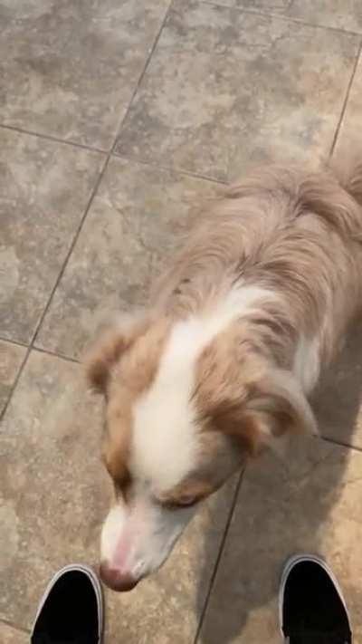 No lemons for me thanks