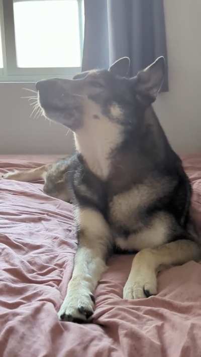 It Ain't Got No Gas In It 🔇