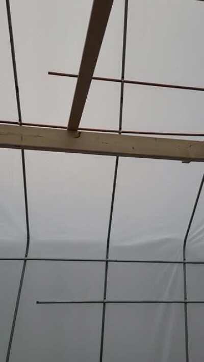 Was finishing building my green house when a nice evening rain came along. Love this time of year in Maine.