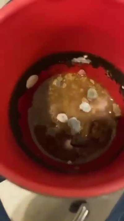 Damn bro you live like this…