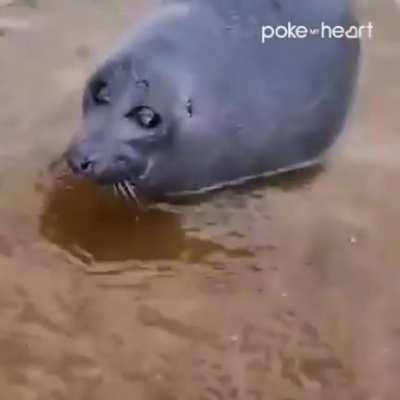 TirEd SwiMMer gEts WaterBOaRded