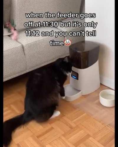 The feeder that my human brought is broken and only feeds me at a specific times instead of when I want feeding. My human refuses to get it replaced. How can I replace it with one that works? Can I sue the manufacturer? What about my human?