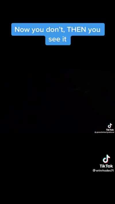 Video I saw of an almost direct hit from a tornado- insane