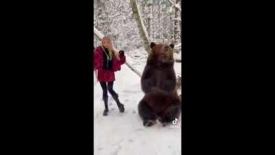 Bears partying with your wives today!