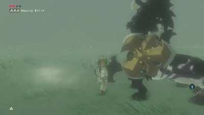 I finally took down a silver lynel in master mode!