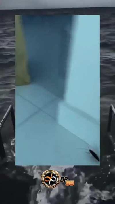 Antes q nada, buenas noches