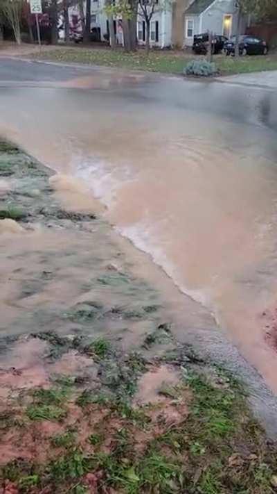 Hydrant leaked for 9 weeks without repair. Froze and burst overnight. I guess they'll repair it now.