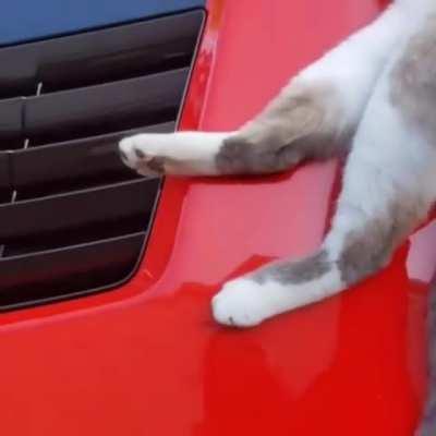 А так хорошо спалось...