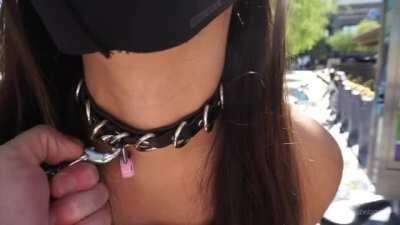 She's a happy little puppy when Master takes her out for a ride