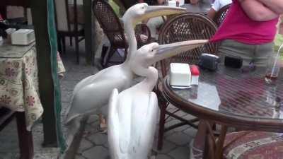 Under attack and filmed by at least two people