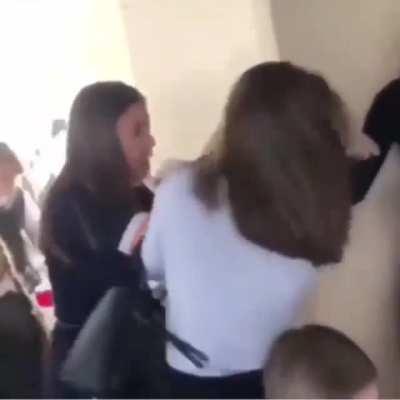 Little guy got caught in the crossfire