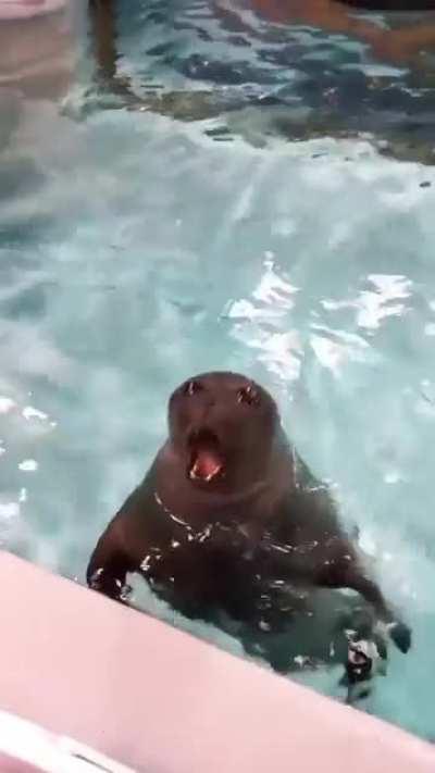 I’d recognize those soulless eyes anywhere!