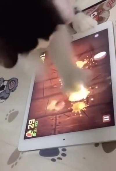 Начинающий геймер