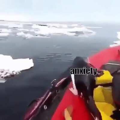 Hello darkness my old friend.