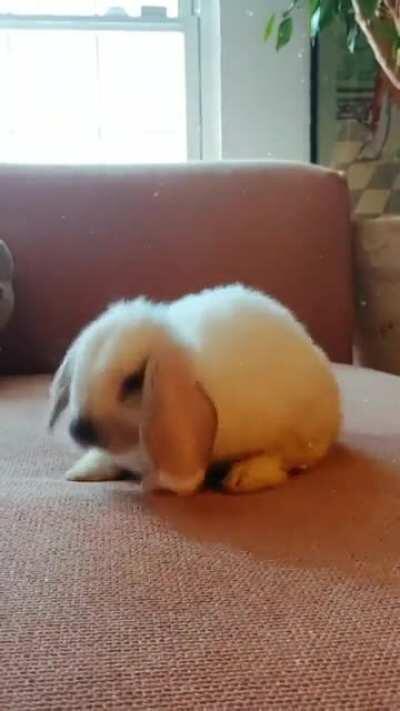 My new bby, Edmond. 😍