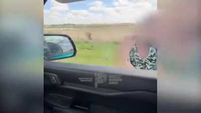 Manejaba con una criatura en su regazo y cuando lo pararon reaccionó de manera violenta