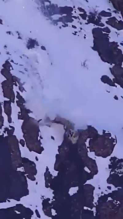 You either die hungry or you die trying