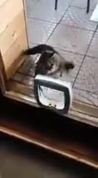 Kitty Balboa :’Not in the mood for jokes now!’