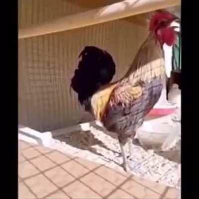 Normal routine goes wrong!