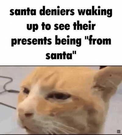 catvent calendar day 23