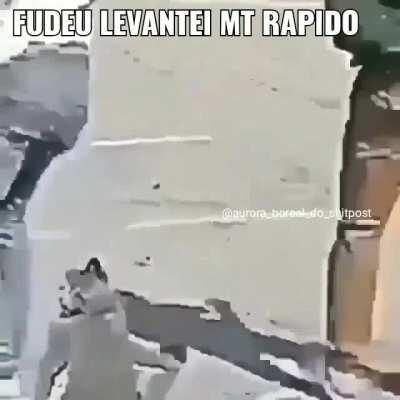 O título foi almoçar