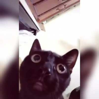 This dialogue weirds me out (oc)