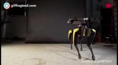 Theres Japan, America, and then theres Russia