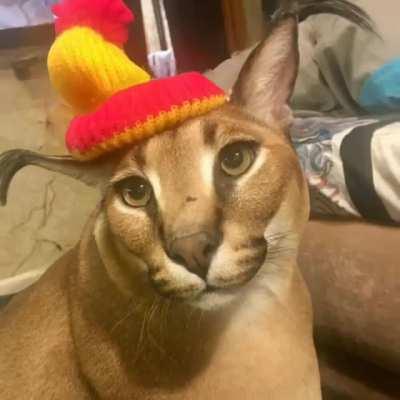 gregory vibing to minecraft remix