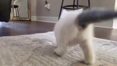 POV first time hearing Square Hammer