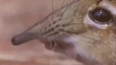 Take a closer look at this meme