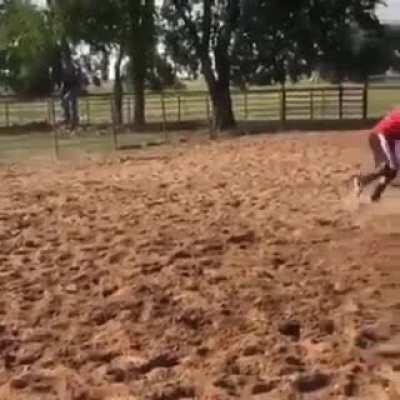 Remember kids, always mind your surroundings!