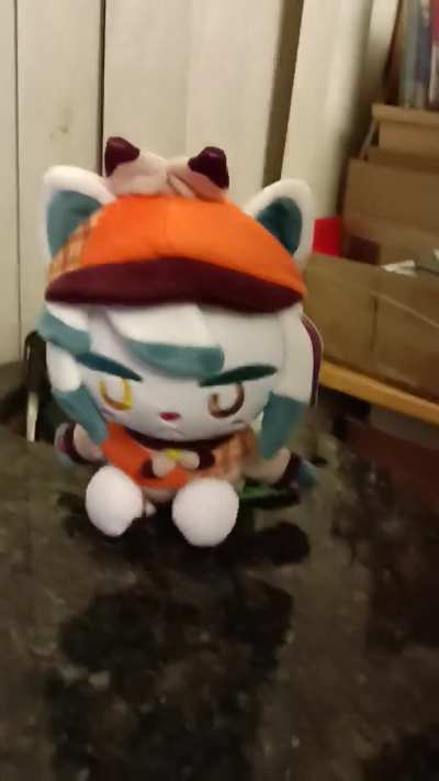 I just realized you guys didn't get the Christmas special