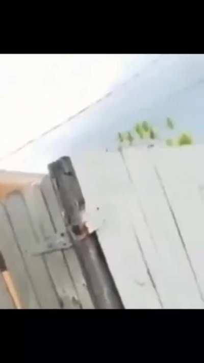 my favorite movie recap