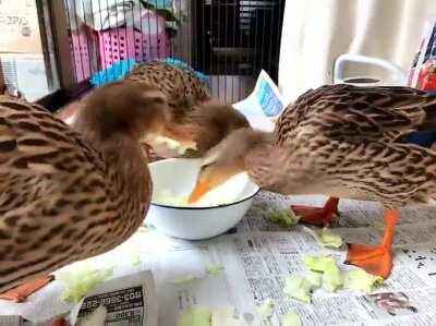 The sound adds that extra layer of chaos