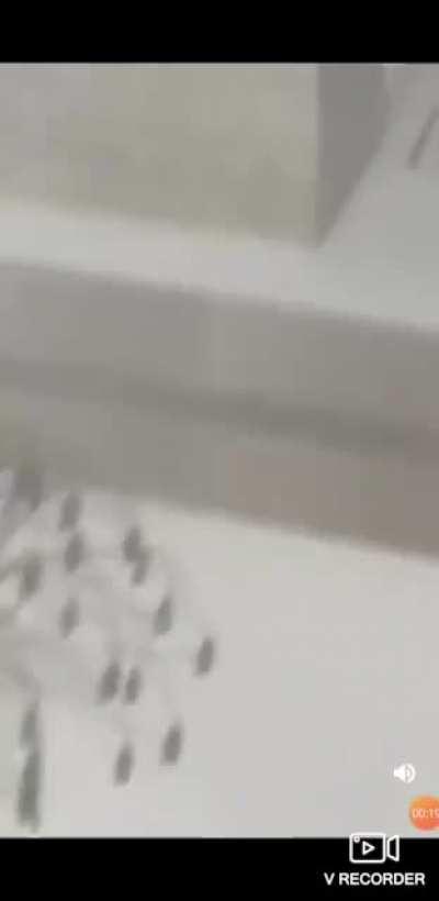 The Beirut explosion nine short months ago