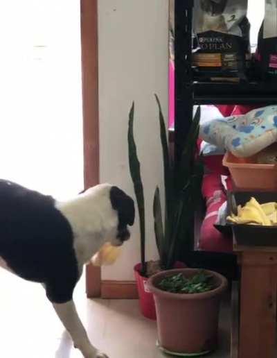 Ohh, self service *yoink*