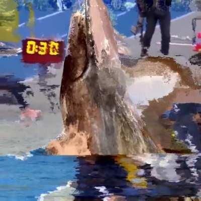 The breaching pole vaulter [Made with Datamosh 2 for After Effects]