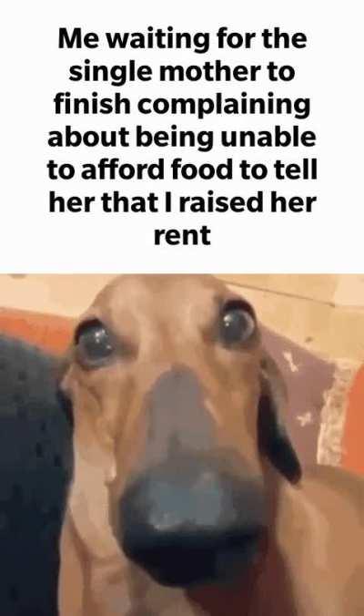 When you see a rentsow walk in with a dirty ass Looney Tunes tank top, fake nails, and a guy's name tattooed on her shoulder... you already know what's up