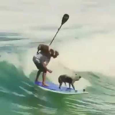 Хочу так жить