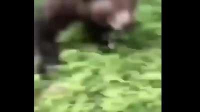 Skdnusksbfjdksjsbdhdjdndsjsh