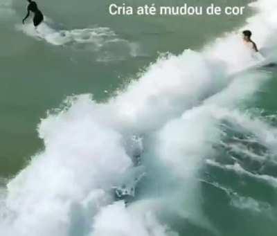 O mergulho que o mufinha queria