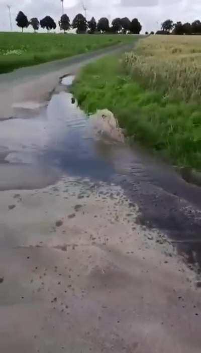 Not as planned, guess what mom, I gotta wash again