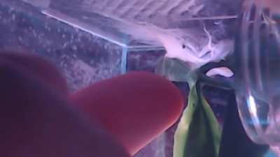 Excuse me, do you have time to talk about our Lord and Savior?