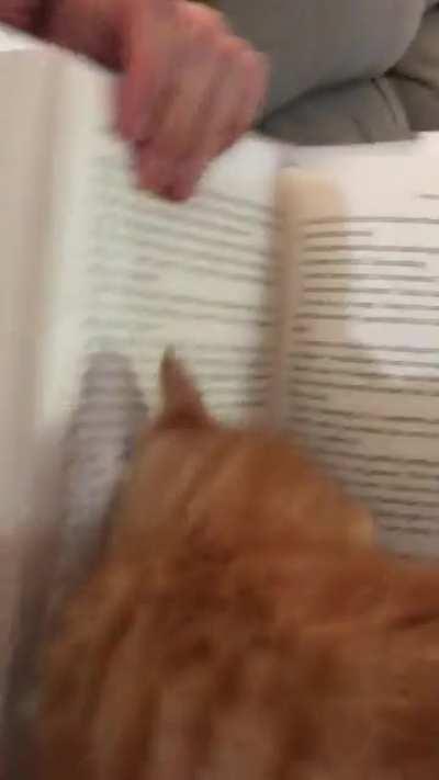 Man, I’m just trying to read