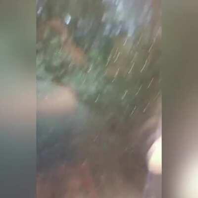 WCGW testing the window alarm